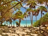 The dune at Kismet Tulum