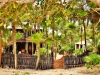 Kismet Tulum from the dune