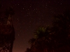 The stars over the water tower at Kismet Tulum