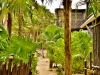 Kismet Tulum Eco-Resort