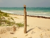 Turtle nests marked by Sian Ka\'an biologists on the beach at Kismet Tulum